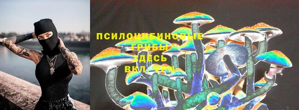 бошки Армянск