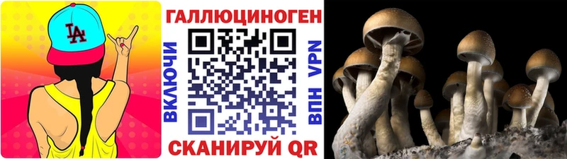 Галлюциногенные грибы Psilocybe  Павловск 